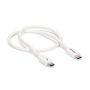 StarTech.com 50cm Thunderbolt 3 Kabel, 40Gbps, 100W PD, 4K/5K, Thunderbolt Gecertificeerd, Thunderbolt 4/USB 3.2/DisplayPort Compatibel, Wit (TBLT34MM50CW) thumbnail