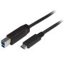 StarTech.com 2m USB-B naar USB-C Kabel, USB 5Gbps, USB3.0 Type C naar USB-B Data Transfer Kabel (USB315CB2M) thumbnail
