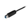 StarTech.com 1m USB-B naar USB-C Kabel, USB 10Gbps, USB 3.2 Gen 2 Type C naar USB-B Data Transfer Kabel (USB31CB1M) thumbnail