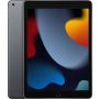 Apple 10.2-inch IPad Wi-Fi 10.2 256GB Grey (MK2N3KN/A) thumbnail