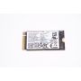 Lenovo SSD UM AM630 256G 2242 PCIe G4V x4 (5SS1D05467) (5SS1D05467) thumbnail
