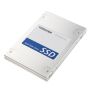 Dynabook Q Series Pro 512 GB SATA III MLC (HDTS351EZSTA) thumbnail