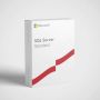 Microsoft MS OVL SQL Svr Std Lic/SA ADD 2Y2Y [NL] (228-04768) thumbnail