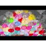 Hisense 65E77Q 165,1 cm (65") 4K Ultra HD Smart TV Wifi Zwart (20016403) thumbnail