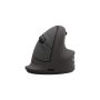 Fellowes Breyta Plus+ Vertical Mouse Medium Right (100143581) thumbnail