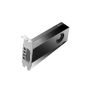 NVIDIA RTX 2000 Ada Generation 16GB Professionele Videokaart (900-5G192-2541-000) thumbnail