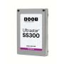 Western Digital Ultrastar DC SS300 HUSMM3240ASS200 400GB SAS 12Gb/s High Endurance ISE 2.5in Solid State Drive (HUSMM3240ASS200) thumbnail