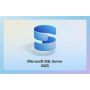 Microsoft SQL Server Licentie (359-06920) thumbnail