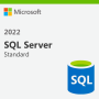 Microsoft SQL Server Standard Edition (7NQ-01639) thumbnail