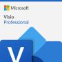 Microsoft Visio Professional (D87-06008) thumbnail