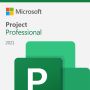 Microsoft Project Professional - Licentie (H30-01389) thumbnail