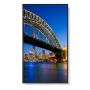 NEC M431-2 Kiosk-ontwerp 109,2 cm (43") LCD 500 cd/m² 4K Ultra HD Zwart Type processor (60006083) thumbnail
