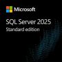 Microsoft SQL Svr Std Core 2025 All Lng Embedded M (EP2-70870) thumbnail