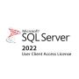 Microsoft SQL Server 2022 Client Access License (5 User) (7S0500BUWW) thumbnail
