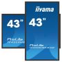 iiyama TF4339MSC-B1AG beeldkrant 109,2 cm (43") LED 400 cd/m² Full HD Zwart Touchscreen (TF4339MSC-B1AG) thumbnail