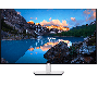 Dell Ultrasharp U4323Qe Computer (DELL-U4323QE-DEMO) thumbnail
