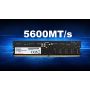 ADATA DDR5 5600 U-DIMM hukommelsesmodu thumbnail
