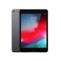 Apple iPad mini 5 64GB WiFi + Cellular Space Gray (MUX52NF/A-R4) thumbnail