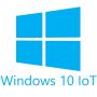 Microsoft Windows 10 IoT Ent. LTSC Value (MUU-00028) thumbnail