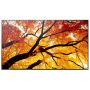 NEC Sharp PN-M322 32 Inches Multisync Professional LCD Public Display (PN-M322) thumbnail