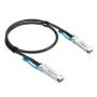 Extreme Networks - SFPDD 20G Cables SFPDD to SFPDD 20G DAC 0.5M (20G-DACP-SFPDDZ5M) (20G-DACP-SFPDDZ5M) thumbnail