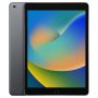 Apple iPad 9 256GB WiFi + Cellular 10.2" Space Gray (MK4E3NF/A-R4) thumbnail
