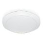 Zyxel NAP203 1300 Mbit/s Wit Power over Ethernet (PoE) (NAP203-ZZ0101F) thumbnail
