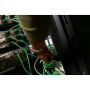APC APDU10150SM - Switched & Metered-by-Outlet, 0U, 32A, 230V, 20x C13/15 + 20x C13/15/19/21, IEC309 32A stekker (APDU10150SM) thumbnail