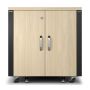 APC NetShelter CX AR4012IA - 12U, Geluiddempend en geventileerd 19 inch server rack (AR4012A) thumbnail