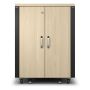 APC NetShelter CX AR4017IA - 17U, Geluiddempend en geventileerd 19 inch server rack (AR4017IA) thumbnail