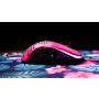 Xtrfy M4 RGB muis Rechtshandig USB Type-A Optisch 16000 DPI (XG-M4-RGB-PINK) thumbnail