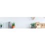 AOC B2 24B2XDM computer monitor 60,5 cm (23.8") 1920 x 1080 Pixels Full HD LCD Zwart (24B2XDM) thumbnail