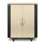 APC NetShelter CX 18U Geluiddempende 'Server Room in a Box', Shock Packaging (AR4018SP) thumbnail