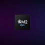 Apple Mac mini M2 Pro Apple M 16 GB 512 GB SSD macOS Ventura Mini PC Zilver (MNH73D/A) thumbnail