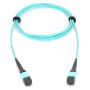 Allied Telesis AT-MTP12-5 Glasvezel kabel 5 m MTP (AT-MTP12-5) thumbnail