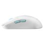 ASUS ROG Harpe Ace Aim Lab Edition muis Ambidextrous RF Wireless + Bluetooth + USB Type-C Opto-mechanisch 36000 DPI (90MP02W0-BMUA10) thumbnail