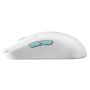 ASUS ROG Harpe Ace Aim Lab Edition muis Gamen Ambidextrous RF Wireless + Bluetooth + USB Type-C Opto-mechanisch 36000 DPI (90MP02W0-BMUA10) thumbnail