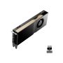 PNY NVIDIA RTX 5000 Ada Generation - Grafikkarte - RTX 5000 Ada - 32 GB (VCNRTX5000ADA-PB) thumbnail