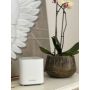 D-Link COVR AX1800 Dual Band Whole Home Mesh Wi‑Fi 6 System (COVR-X1863) thumbnail