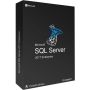 Microsoft SQL Server Enterprise 2Core (7JQ-01275) thumbnail
