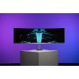 Philips Evnia 8000 49M2C8900/00 computer monitor 124,2 cm (48.9") 5120 x 1440 Pixels Dual QHD QD-OLED Wit (49M2C8900/00) thumbnail