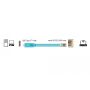 DeLOCK 63914 seriële kabel Blauw 3 m USB Type-C RJ45 (63914) thumbnail