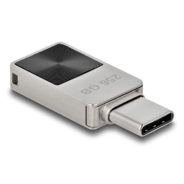 DeLOCK 54009 USB flash drive 256 GB USB Type-C 3.0 Zwart, Grijs
