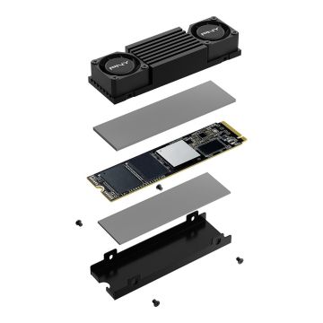 PNY CS3150 - 2 TB - SSD - PCI Express (M280CS3150HS-2TB-RB) thumbnail