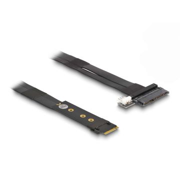 DeLOCK 64216 interfacekaart/-adapter Intern M.2, U.2 (64216) thumbnail