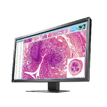 Eizo Radiforce MX317W (MX317W) thumbnail