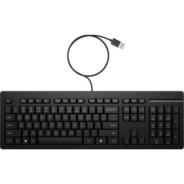 HP SPS-KBD 125 WHITE WIRED HP NP SAU (N51307-171) thumbnail