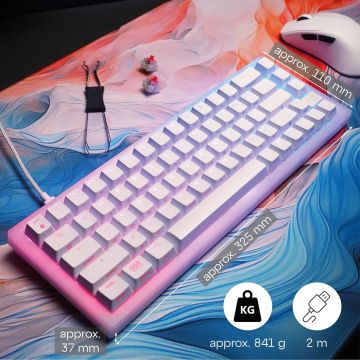 CHERRY XTRFY TAS K5V2 Corded US-Layout weiß MX Red (CX-K5V2-RGB-CPT-TPWHITE-R-US) (CX-K5V2-RGB-CPT-TPWHITE-R-US) thumbnail