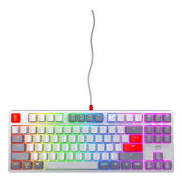 CHERRY K4V2 TKL toetsenbord Gamen USB QWERTY Amerikaans Engels Grijs, Licht Grijs, Rood (CX-K4V2-RGB-TKL-RETRO-R-U) thumbnail