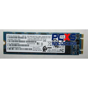 HP SPS-SSD 256GB M.2 FOSCHINI GROUP-LOCKED (N17239-001) thumbnail